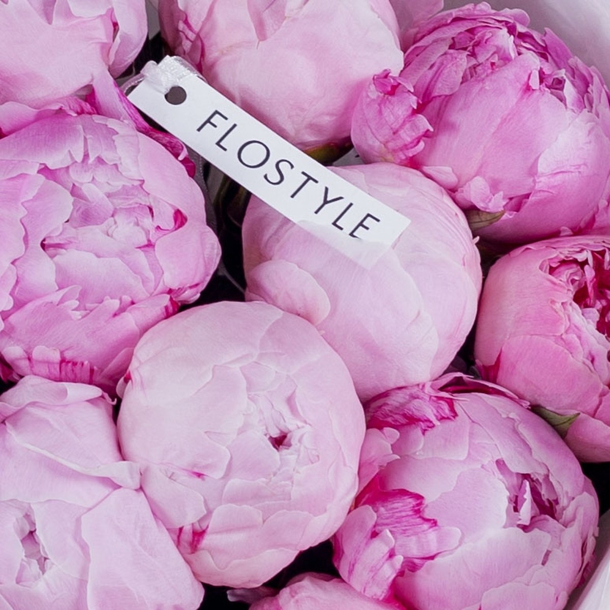 buket iz 15 pionov sara bernar 3